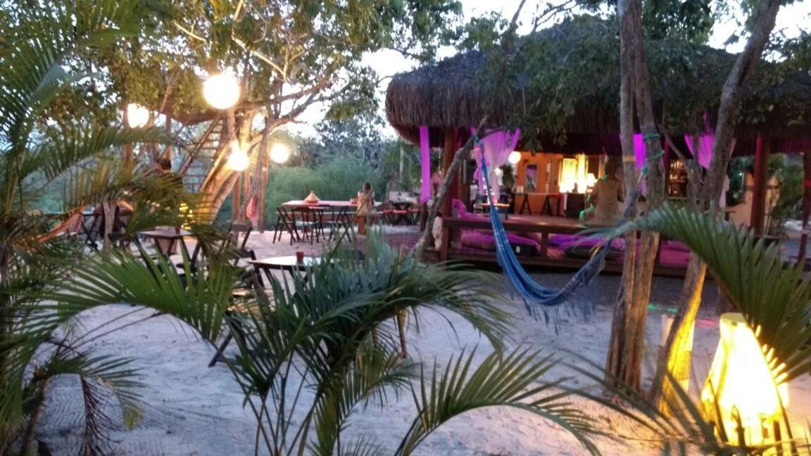 Chale "Oasis" Vila Praia do Forte Exterior foto