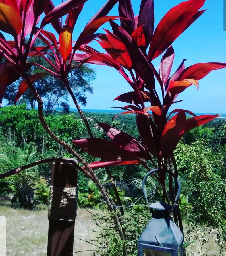 Chale "Oasis" Vila Praia do Forte Exterior foto